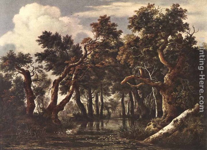The Marsh in a Forest painting - Jacob van Ruisdael The Marsh in a Forest art painting